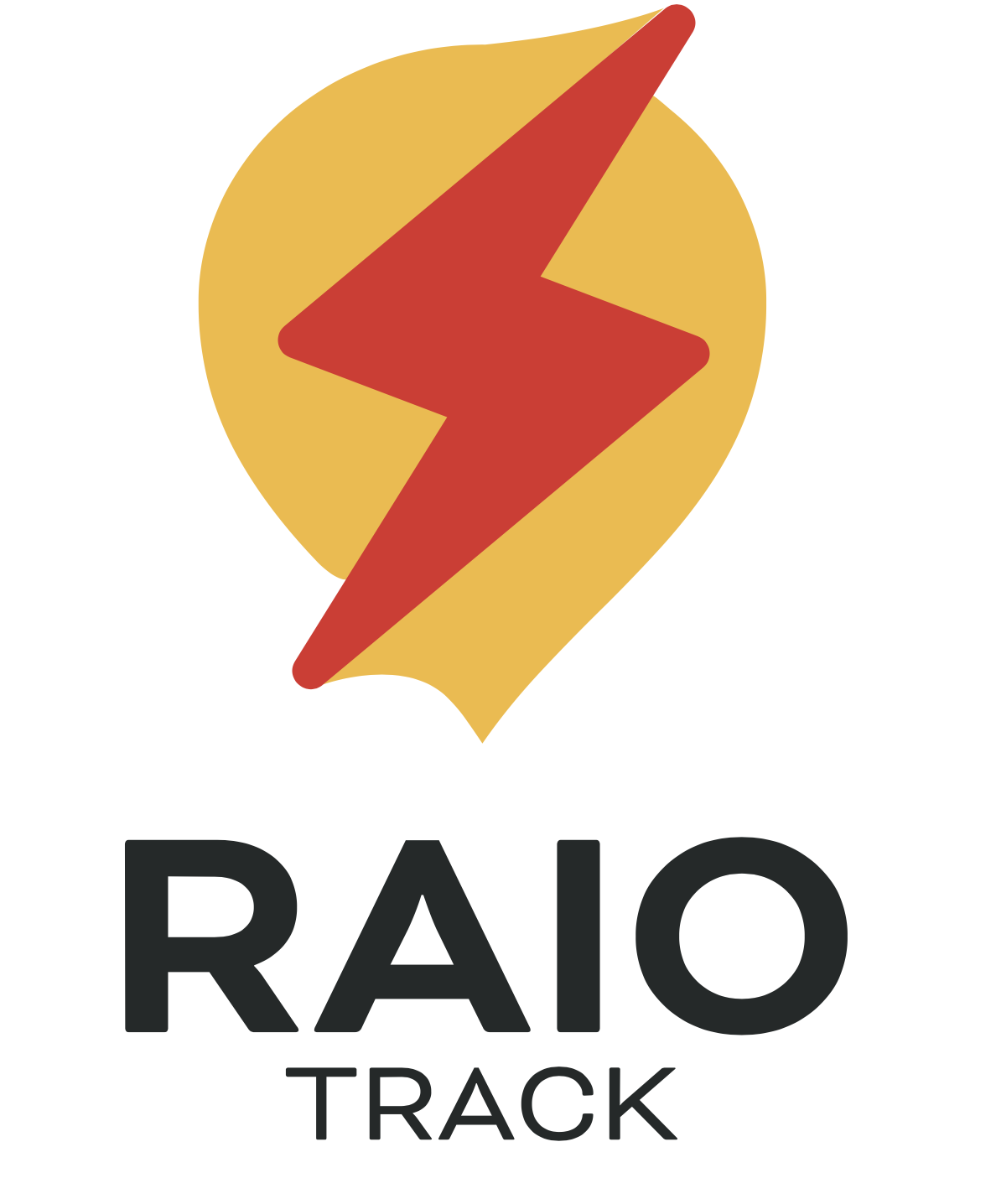 RAIO TRACK Logo